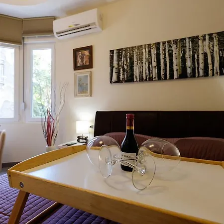 Apartment Enjoy Belgrade