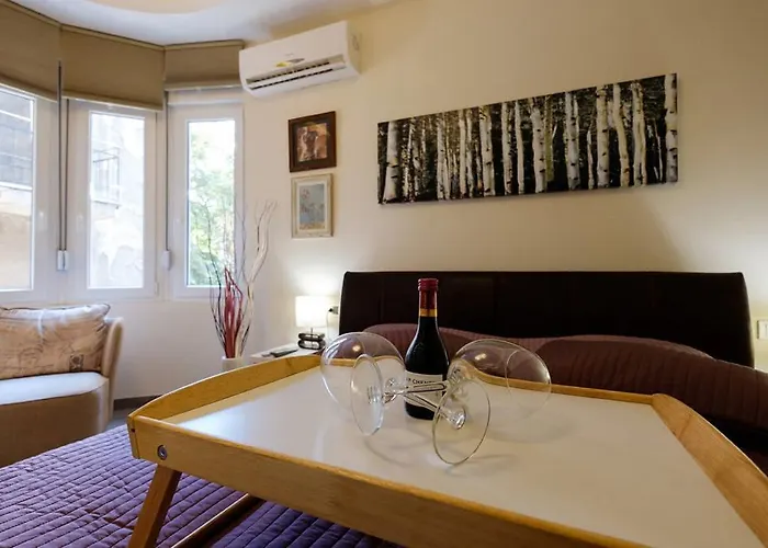 Apartament Enjoy Belgrad